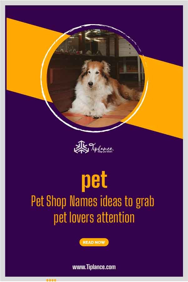 111 Pet Shop Names Ideas To Grab Pet Lovers Attention