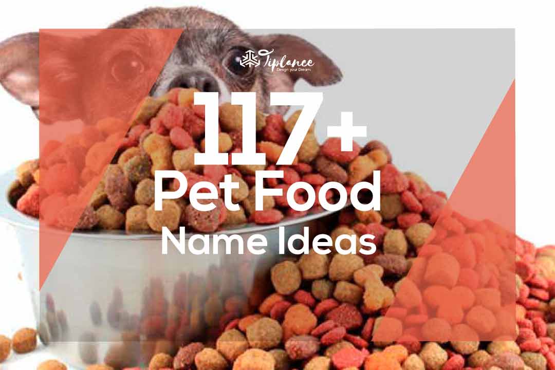 117+ Cool Pet food name ideas that attract more customer Tiplance