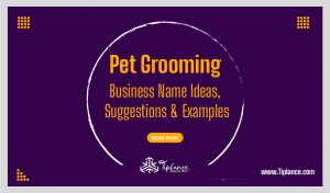 Unique Pet Groomers Shop Names Ideas