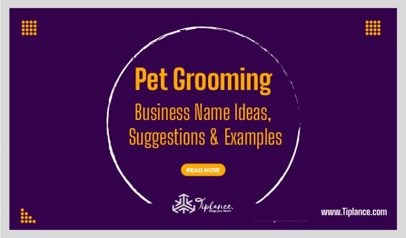 pet-grooming-business-dog-grooming-shop-dog-grooming-salons-dog