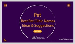 Creative Pet Clinic Names