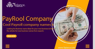 Payroll company names