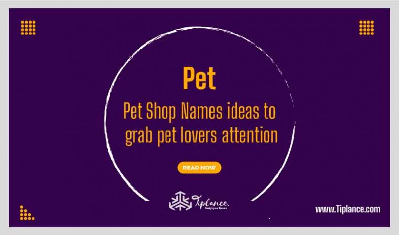 111 Pet Shop Names Ideas To Grab Pet Lovers Attention   Unique Pet Shop Names 810x477 