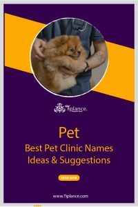 Veterinary clinic names ideas