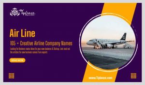 Airline Company
