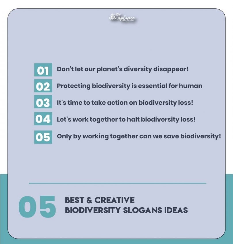 Best Biodiversity Slogans Ideas & Examples - Tiplance