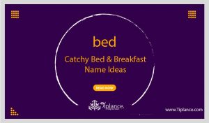 Creative Bed & Breakfast Names