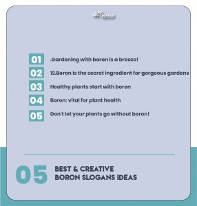 Creative Boron Slogans & Taglines Examples