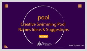 Creative Swimming Pool Names
