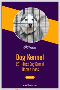 Dog Kennel Names Ideas