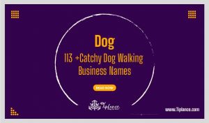 Dog Walking Business