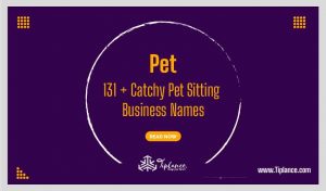 Pet Sitting Business