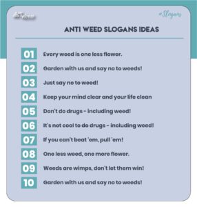 Best Anti Weed Slogans Ideas