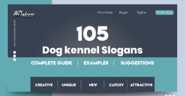 Dog kennel Slogans