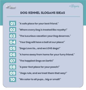 Unique Dog kennel Slogans Ideas