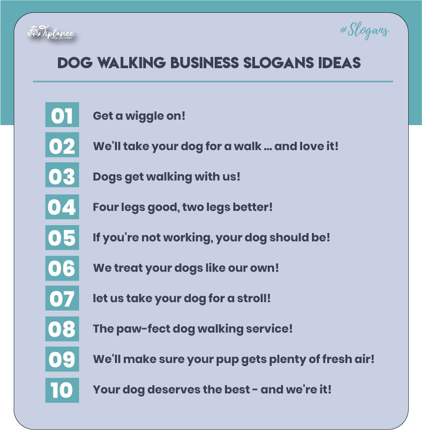 catchy-slogan-for-dog-walking-business-tiplance