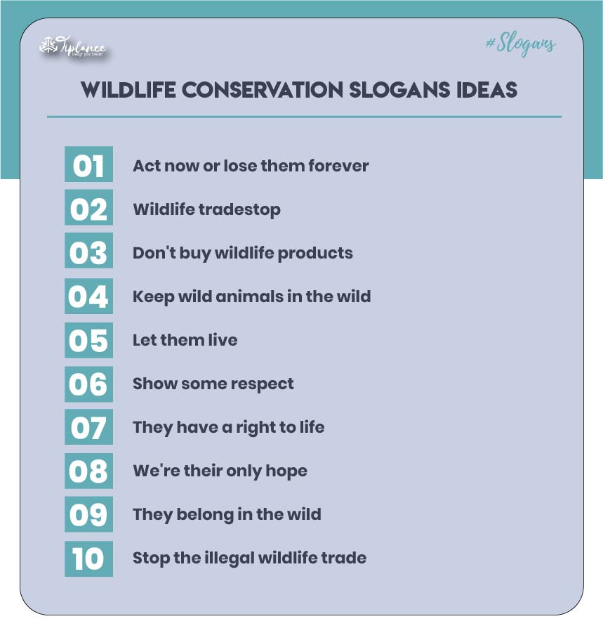 Example for wildlife conservation slogans