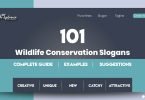 Wildlife Conservation Slogans