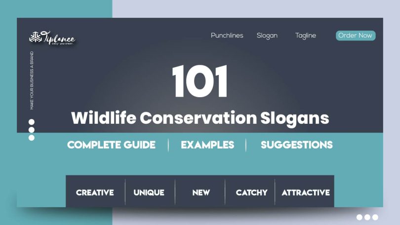 Wildlife Conservation Slogans