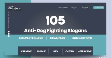 Anti-Dog Fighting Slogans