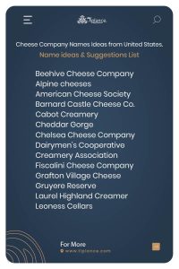 Cheese Company Names Ideas from United States.