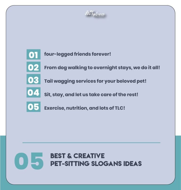 103+ Attractive Pet Sitting Slogans Examples & Ideas Tiplance