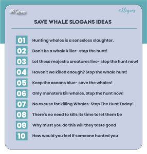 Save whale taglines