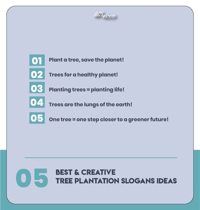 103+ Best Tree Plantation Slogans Examples & Ideas - Tiplance